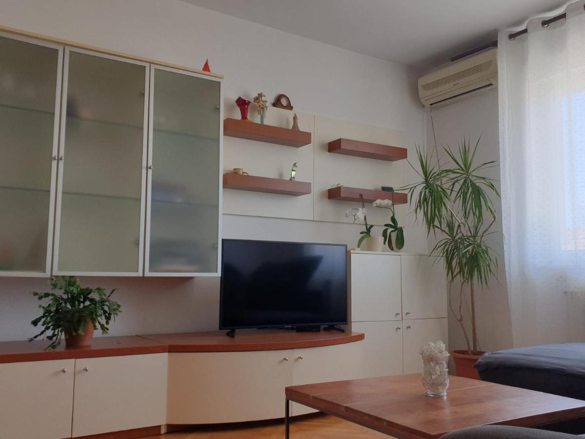 Apartments Ivana ザダル エクステリア 写真